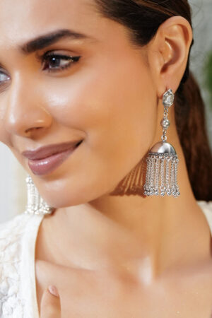 Oxidised Silver AD Dome Jhumka Earrings