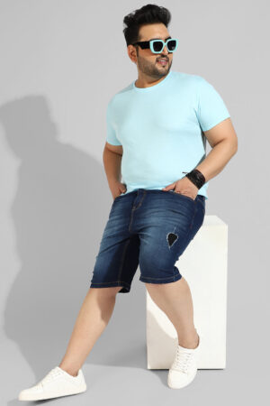 Regular Fit Denim Shorts
