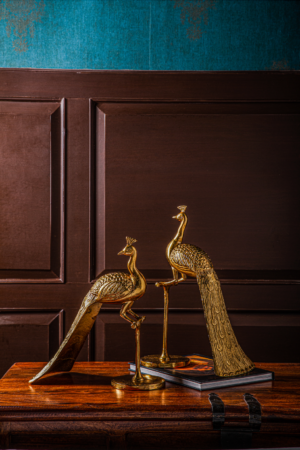 Bailey Decorative Peacock Accent Set of 2