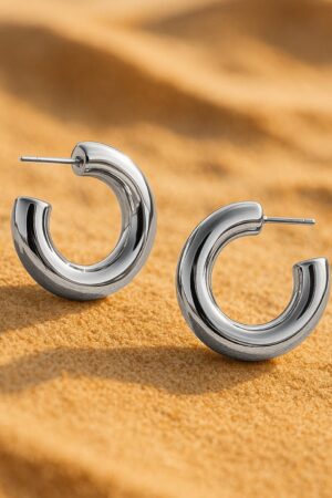 Silver Toned Small Hoop Earrings